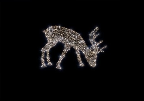 e9b692c3ed25c0b20d060671d311f5cd