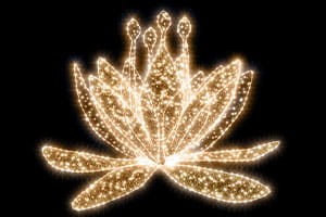 fdbd583eb7f231dd1ff28620609c822c