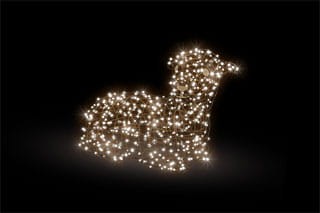 f1cb154f514833acf078a47a4bf32607