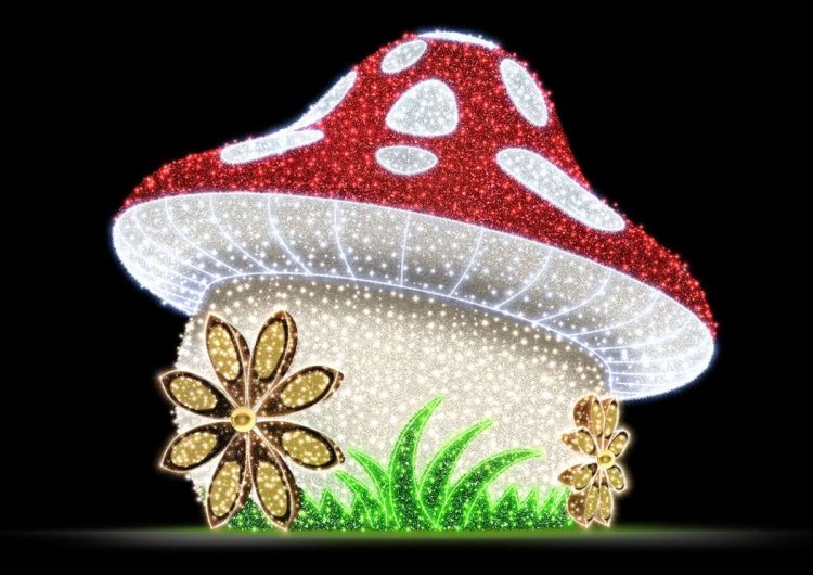 14103670f9021f7df50418e86c8bf2a0