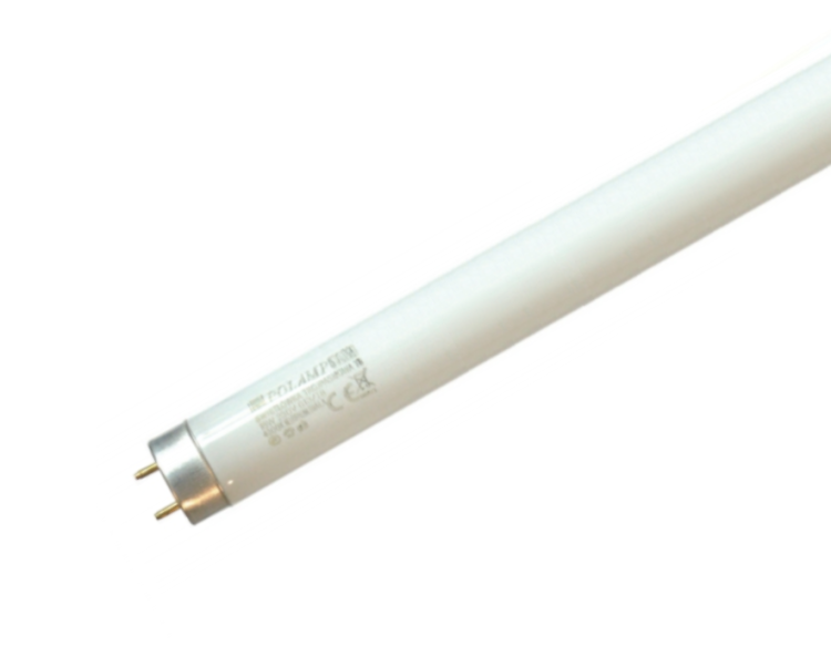 a67ca33ebbee9bd5f574bd562859b12c