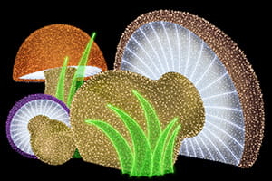 886b70319f34ce8e46b921849bc99f27