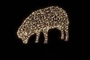 485fef1c976b43fd0c2ed4ce67f0da51