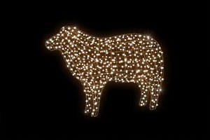 a426a45f147b4fbc6ed5eb713bff2084