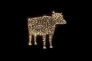 cf938ceaa2525946f902c853877d3fb8