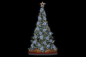 001aee9d65c3d5aecd5855f36eb98580