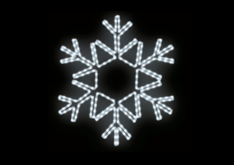 c5bd6498b37ba3b99aef61c8a1277fc1