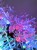 e18cb150368d81dddef5a372019e929c