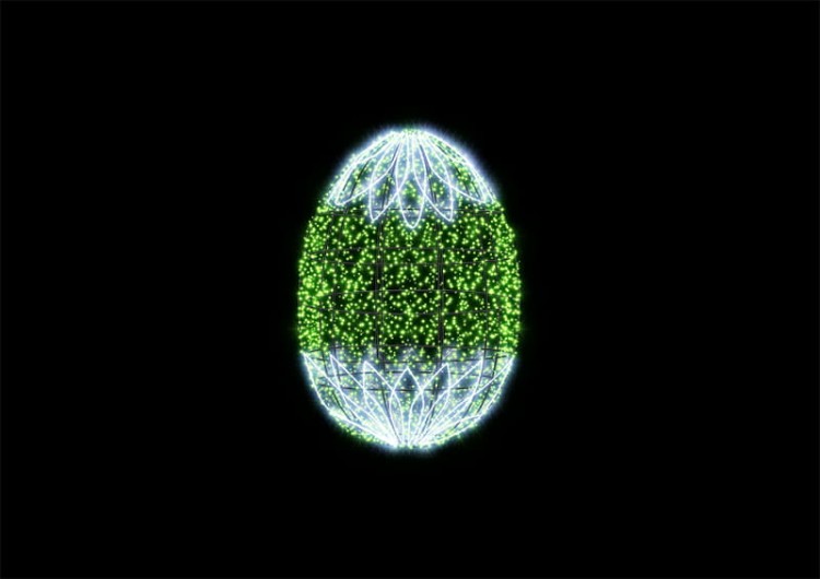 POL-W011_01.jpg