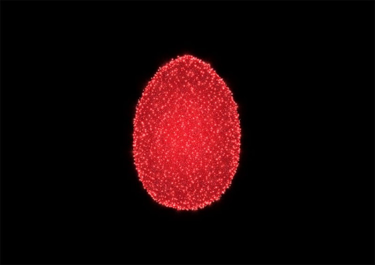 POL-W001M_02.jpg