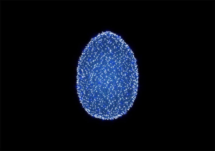 POL-W001M_06.jpg